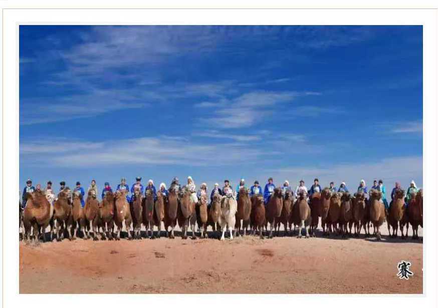 阿拉善骆驼超级联赛二号公告——赛事规则与奖金细则一机游阿拉善 2025年12月18日 16:16 内蒙古