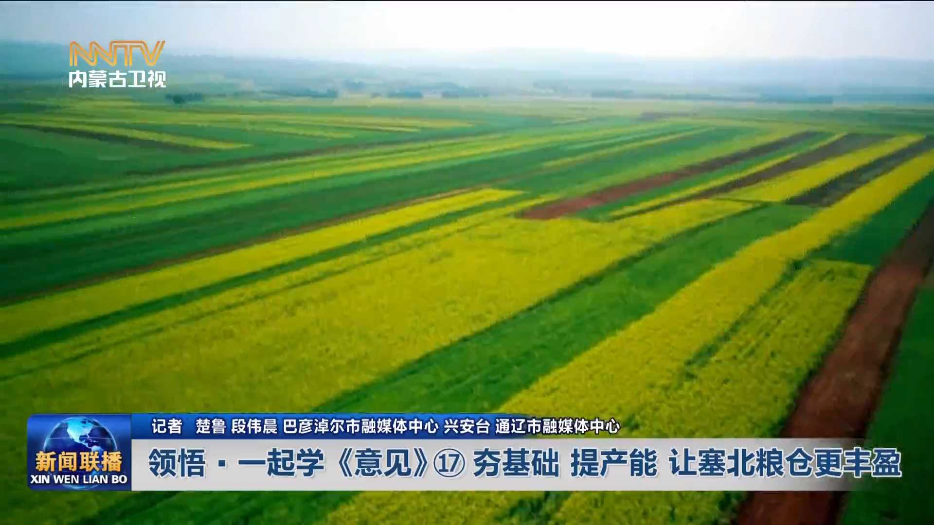 加快落实“五大任务” 推动高质量发展丨领悟·一起学《意见》⑰夯基础 提产能 让塞北粮仓更丰盈